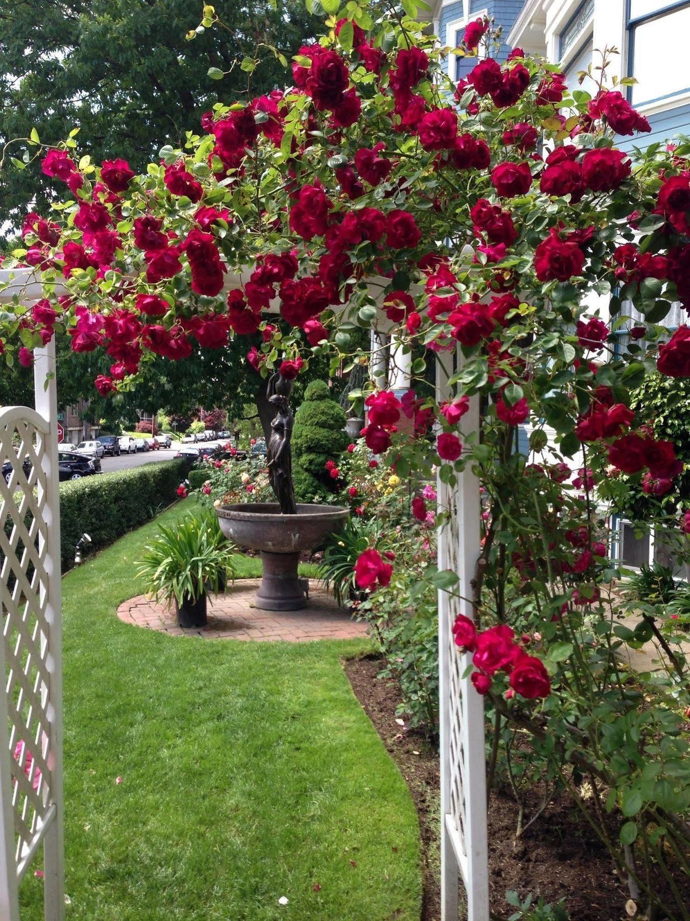 Lion And The Rose Victorian Guest House Портленд Екстер'єр фото